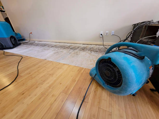 Professional Structural Drying technician working in Inlet Beach, FL